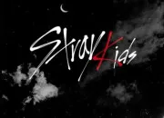 Test Quelle image de Stray Kids obtiendras-tu ?