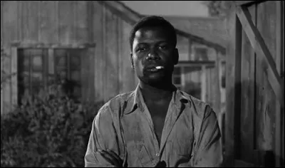 De quel film est tirée cette image de Sidney Poitier ?