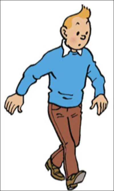 Quel âge est le plus proche de l'apparence physique de Tintin ?