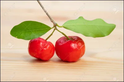 Voici un petit fruit de couleur rouge, ressemblant fortement à la cerise. Il est célèbre pour sa teneur remarquable en vitamine C.
Quel est-il ?