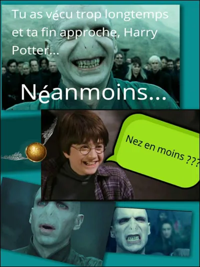 Tu es face à Voldemort, que fais-tu ?