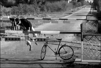 Dans quel film ce facteur n'hésite pas à escalader la barrière pour distribuer le courrier plus vite ?