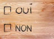 Quiz Expressions : oui ou non ? (1)