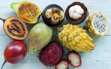 Quiz Fruits