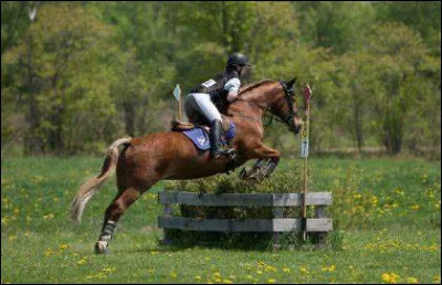 Quelle est la position correcte du cavalier lorsquil est au trot enlevé ?