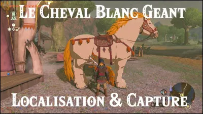 Où se trouve le cheval blanc géant ?