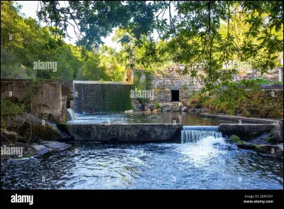 Cours d'eau naturel de moyenne importance ou qui se jette dans un autre cours d'eau
Métal blanc