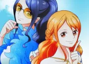 Quiz Robin, Nami ou les deux ?