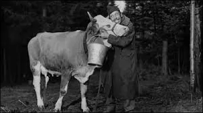 Quel est le nom de la vache dans le film "La Vache et le Prisonnier" ?