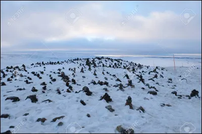 Où vit le lièvre arctique ?