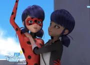 Quiz Marinette Dupain-Cheng/Ladybug