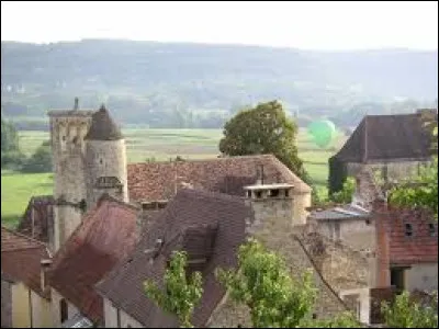 Je vous propose de commencer notre balade dans le Périgord noir, à Allas-les-Mines. Village de l'aire d'attraction Sarladaise, il se situe dans le département ...