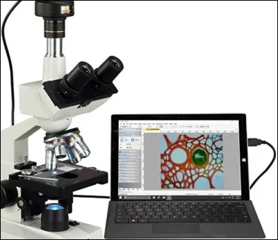 La microscopie optique permet dobserver et dagrandir limage dun objet de petite taille en utilisant des lentilles qui focalisent les faisceaux lumineux pour former une image nette et éclairer léchantillon.
Est-ce vrai ?