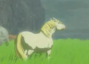 Quiz Les chevaux dans 'The Legend of Zelda : Tears of the Kingdom'