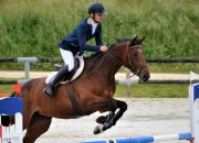 Quiz Les diffrents obstacles en CSO