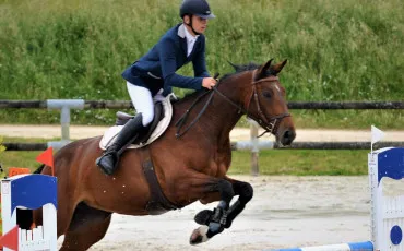 Quiz Equitation