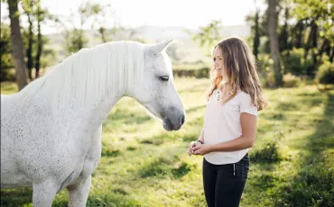 Quiz Chevaux