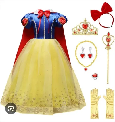 À quelle princesse Disney appartient cette robe ?