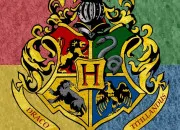 Quiz Quiz sur le personnage Harry Potter