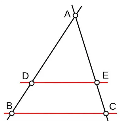 Maths : Quelle égalité du théorème de Thalès correspond à ce triangle ?