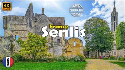 La ville de Senlis fut fondée :