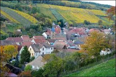 Aujourd'hui, nous commençons notre promenade à Bernardvillé. Village de l'arrondissement de Sélestat-Erstein, au pied de la colline de l'Ungersberg, il se situe dans le département ...