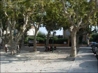 C'est une place qui voque le soleil et la ptanque. Sous ses platanes centenaires elle vous attend  Saint-Tropez. C'est la place ...