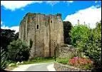 Le bois de la Folie, belle fort de htres ('fol') couronne la ville. Un donjon carr protge l'entre de la forteresse fodale. Btie en granit l'glise vendenne a aussi une tour carre.