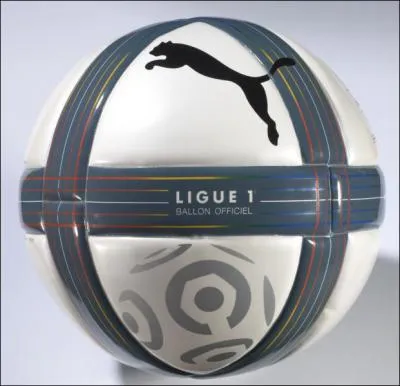 Ce ballon est celui de quel championnat ?