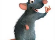 Quiz Ratatouille