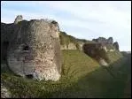 Cette petite commune de l'arrire pays est entoure par une fort. Elle possde deux chteaux, une forteresse mdivale et le chteau de Miromesnil o naquit Maupassant.