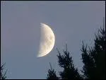 Au cours de la lunaison la Lune monte ou descend et est plus ou moins visible de la Terre. Lorsque vous la voyez telle que dans l'image ci-dessous c'est qu'elle est ...