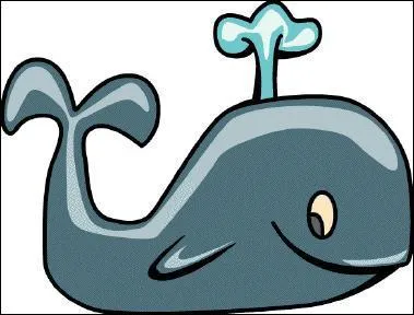 Quelles est la couleur des crottes de baleine ?