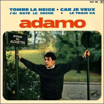 C'est Adamo qui a chant 'Tombe la neige' dans les annes 60 : Tu ne viendras pas ce soir me crie mon dsespoir, mais tombe la neige ... .