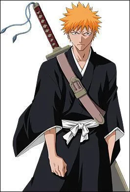 Quel ge a ichigo kurosaki ?