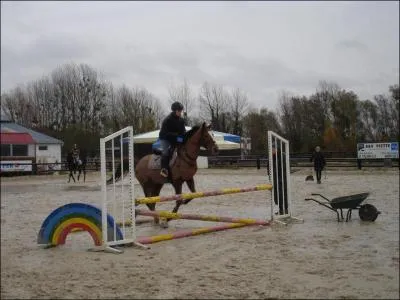 Est-ce que cette cavalire est bien positionne ?