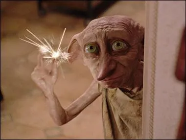 Dobby, l'elfe de maison, appartient  :