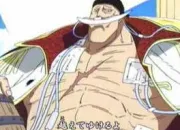 Quiz One piece