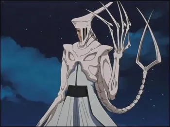 Voici l'arrancar Shawlong Qufang, l'arrancar n11. Qui est-ce qui le tue ?