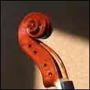 Comment s'appelle cette partie du violon ?