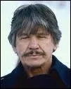 Charles Bronson. Trouvez, les 3 films dans lesquels, il a jou.