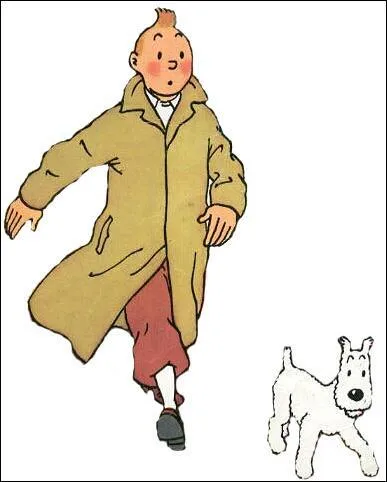 Comment s'appelle le chien de Tintin ?