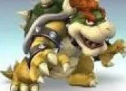 Quiz Bowser & Co