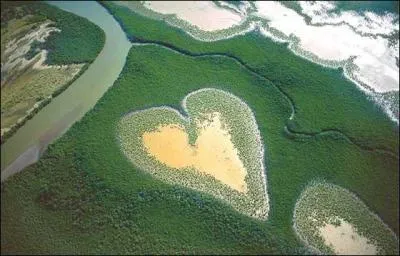 Quel est le jour de la Saint Valentin ?