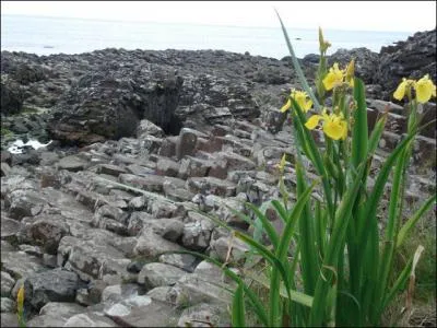 Quel est ce site class au patrimoine de l'Unesco situ sur la cte d'Antrim au nord du pays ?