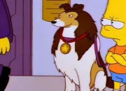 Quiz Les animaux dans les Simpson 1/3