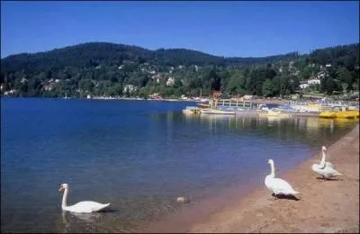 C'est le plus grand lac du Massif des Vosges. Il est d'origine glaciaire. La ville qui lui donne son nom organise chaque anne le Festival international du film fantastique. C'est le lac de :