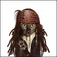 Ce chat se prend pour un personnage du film   Pirates des Carabes . Quel est son nom ?