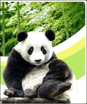 Quelle ville chinoise a pour emblme le panda ?