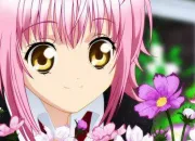 Quiz Shugo chara